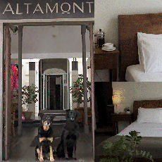 Altamont Boutique Hotel Sydney Australia
