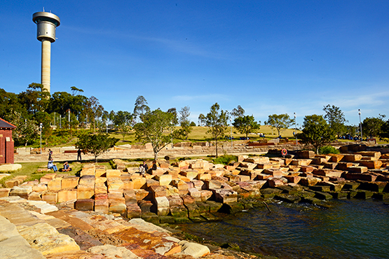 Walk from Circular Quay to Barangaroo Reserve and Darling Harbour, Sydney