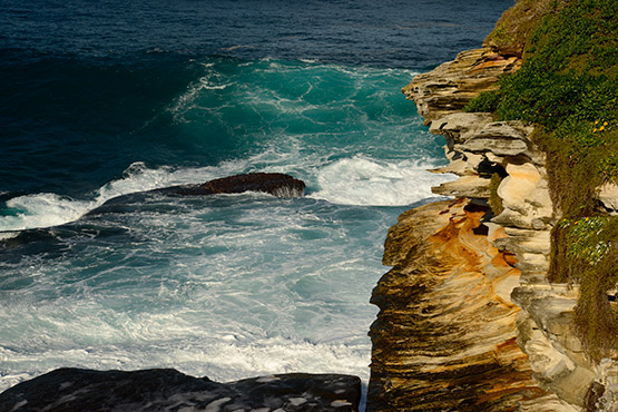 Bondi to Bronte walk, Sydney