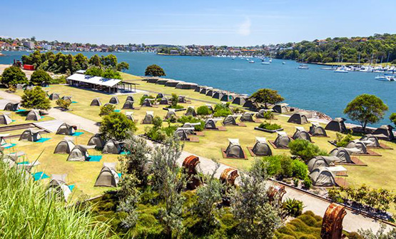 Cockatoo Island camp ground
