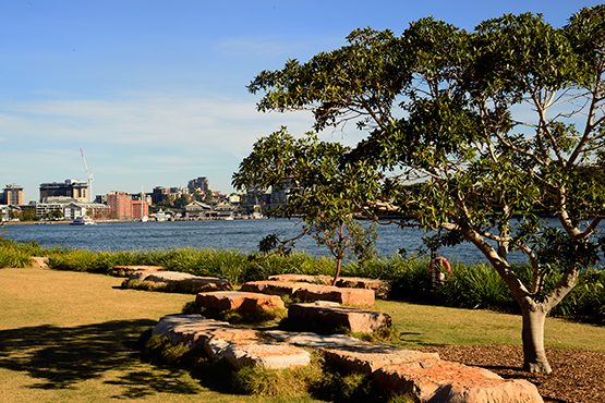 Walk from Circular Quay to Barangaroo Reserve and Darling Harbour, Sydney