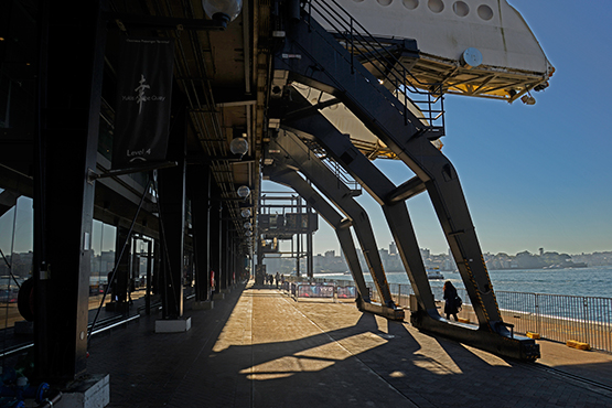 Walk from Circular Quay to Barangaroo Reserve and Darling Harbour, Sydney