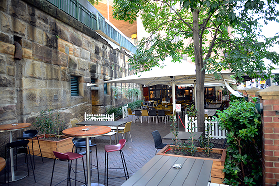 Walk from Circular Quay to Barangaroo Reserve and Darling Harbour, Sydney