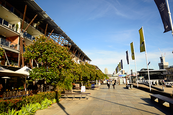 Walk from Circular Quay to Barangaroo Reserve and Darling Harbour, Sydney