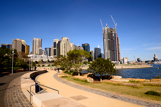 Walk from Circular Quay to Barangaroo Reserve and Darling Harbour, Sydney