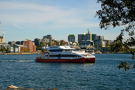 Walk from Circular Quay to Barangaroo Reserve and Darling Harbour, Sydney