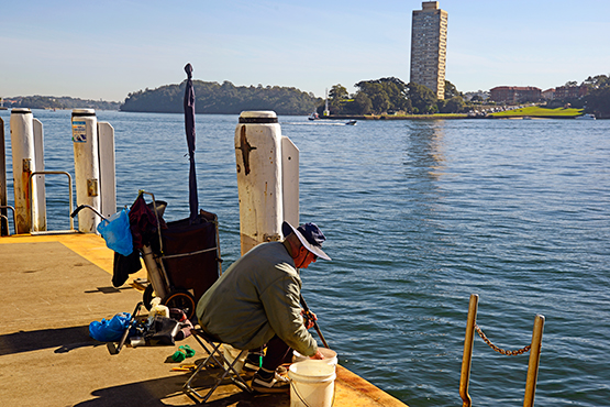 Walk from Circular Quay to Barangaroo Reserve and Darling Harbour, Sydney