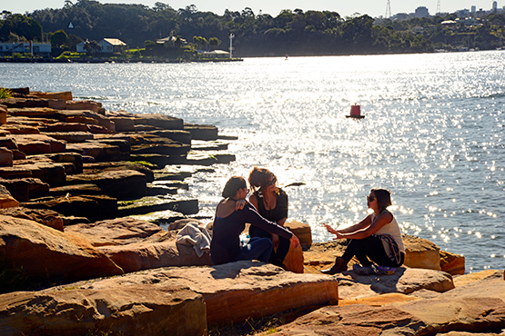 Walk from Circular Quay to Barangaroo Reserve and Darling Harbour, Sydney