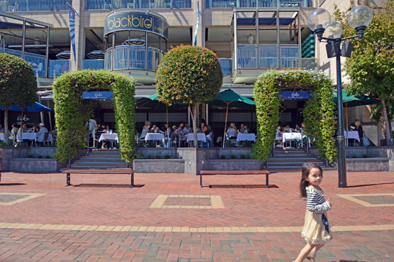 Cockle Bay, Darling Harbour