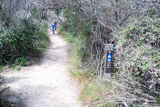 Beatty Street signpost, Dobroyd Head, Sydney
