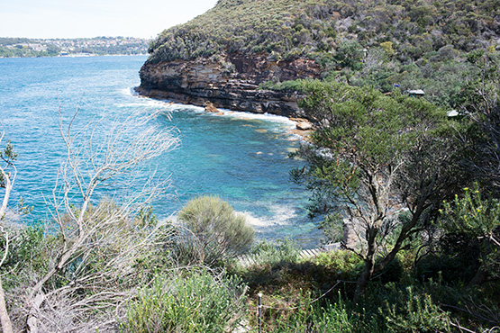 Crater Cove, Sydney