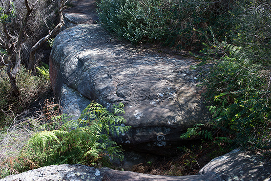 This rock ledge is part of the Crater Cove Walking Track, Sydney