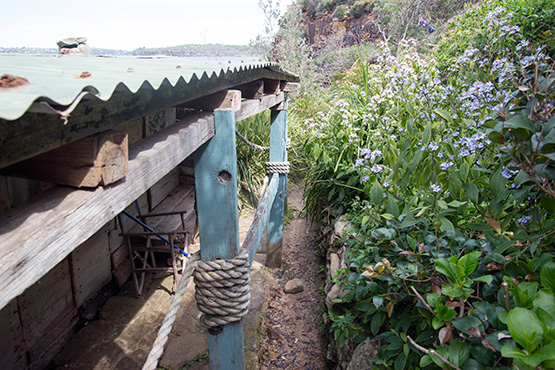Crater Cove hut surrounded by vegetation