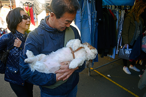 Glebe Markets, Sydney
