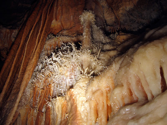 helictites in a cave at Jenolan caves