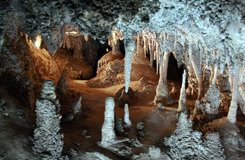 Trips to Jenolan Caves