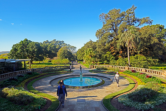 Royal garden sydney