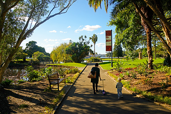A lagoon at the Sydney Royal Botanic Gardens