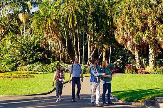 Visitors delight in the large public spaces of the Sydney Royal Botanic Garden