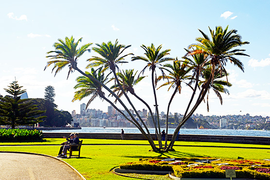 The walking path that skirts around the foreshores of Farm Cove and the Sydney Royal Botanic Garden
