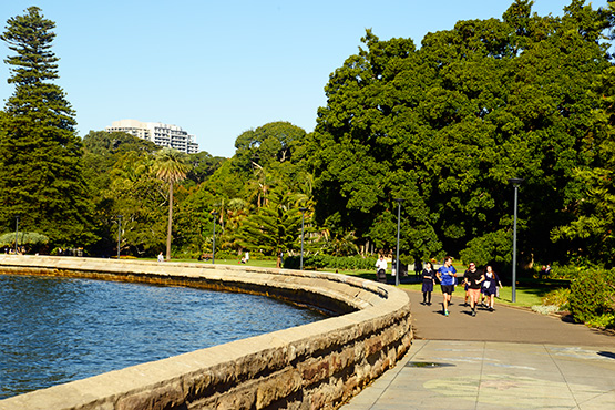 The Farm Cove walking path is popular with lunchtime joggers in the Sydney Royal Botanic Garden