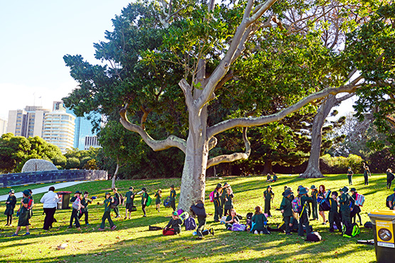 Schoolchildren on a field excursion in the Sydney Royal Botanic Garden