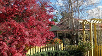 Shelton-Lea B & B, Katoomba, NSW