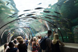 Sydney Aquarium