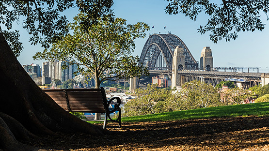 Sydney Harbour Bridge from Observatory Hill