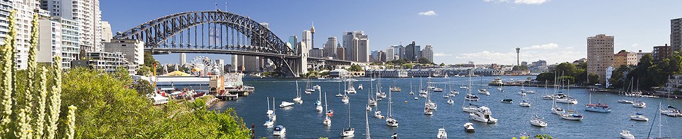 sydney city bus tour map