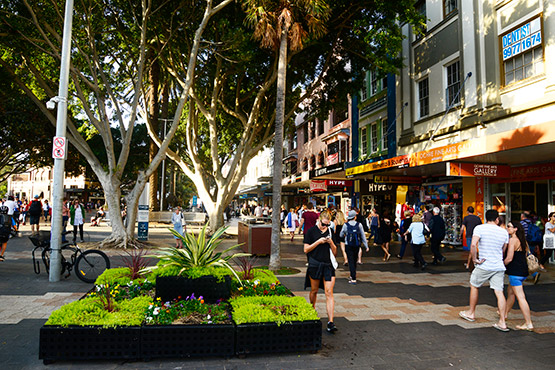 Large trees are a feature of the ferry wharf end of  The Corso, Manly, Sydney