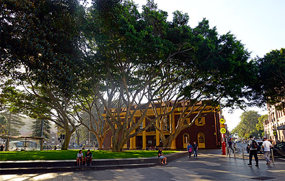 The Many Municipal Council building  at The Corso, Manly, Sydney