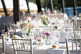 wedding cruise on Sydney Harbour