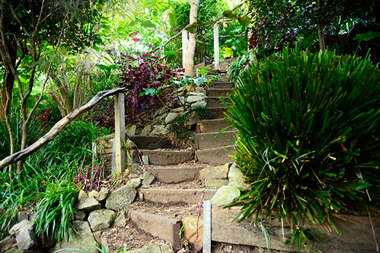 A steep set of steps in Wendy's Secret Garden in Lavender Bay, Sydney