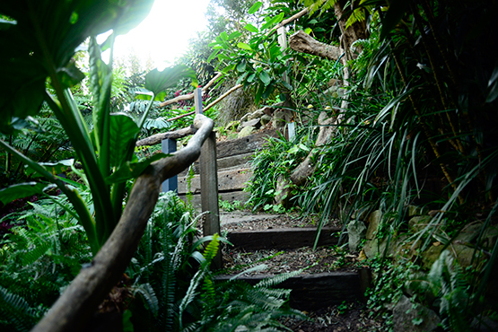 Timber steps in Wendy's Secret Garden in Lavender Bay, Sydney