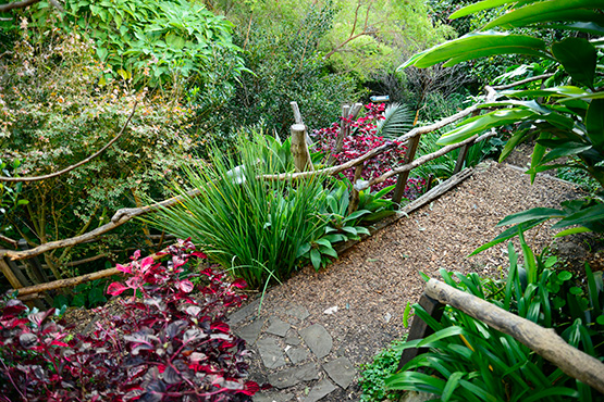Tiered paths in Wendy's Secret Garden in Lavender Bay, Sydney