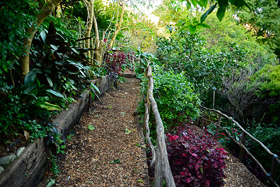 Network of paths in Wendy's Secret Garden in Lavender Bay, Sydney