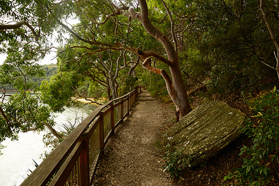 Sydney harbourside walk - Taronga Zoo wharf to Bradleys Head
