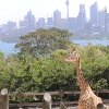 Taronga Zoo