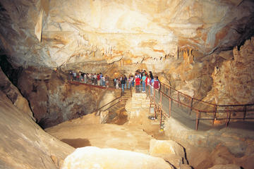 Blue Mountains and Jenolan Caves Motorcoach Day Tour, Sydney, Day Trips