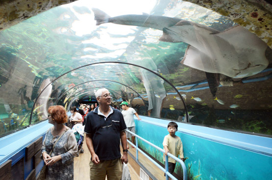 Sydney Aquarium